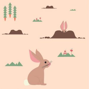 Boek ontwerp - Dots & Lines - Illustratie het konijn - grafische vormgeving