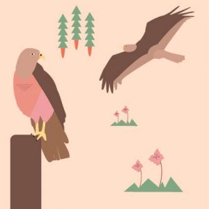 Buizerd illustratie - kinderboek - illustrator Charlotte Heijmans