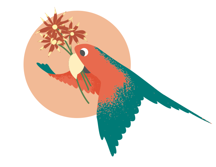 Vogel illustratie - illustrator Dots & Lines Tilburg